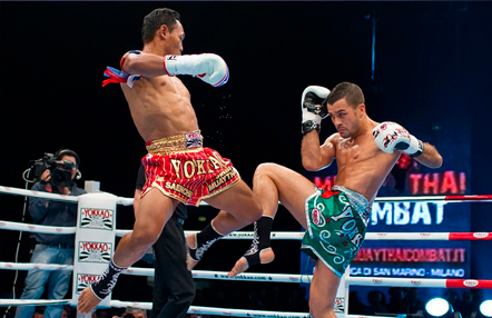 YOKKAO 26
