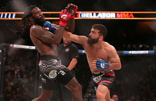 Pitbull en un combate de BELLATOR MMA